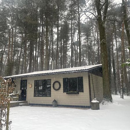 Chalet Sint Zutendaal Bagian luar foto